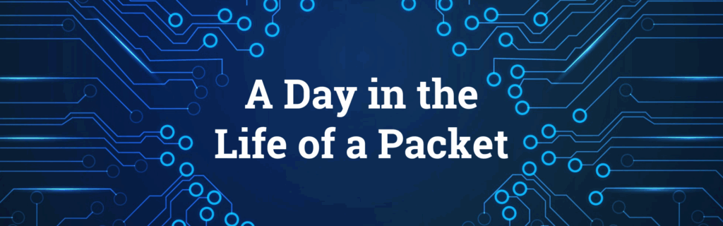A Day in the Life of a Packet